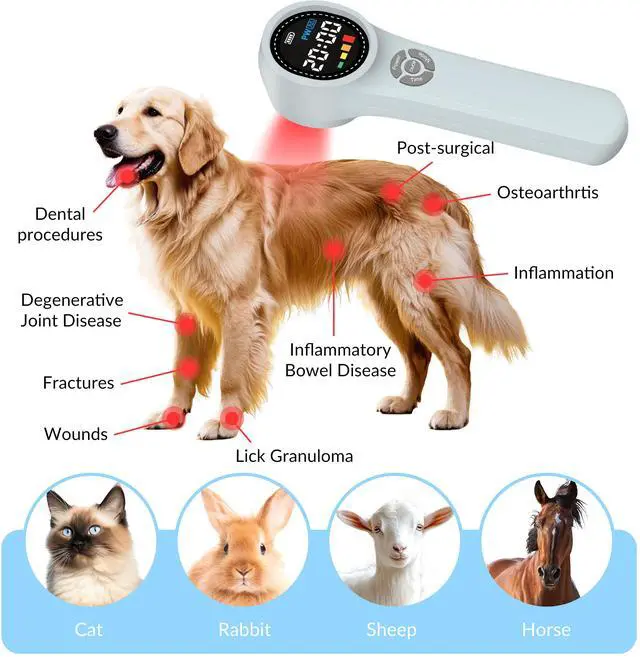 Alt view image 3 of 7 - ZJKC Rechargebale 1760Mw Low Level Laser Class Iv Laser Therapy Feet Inflammation Treatment
