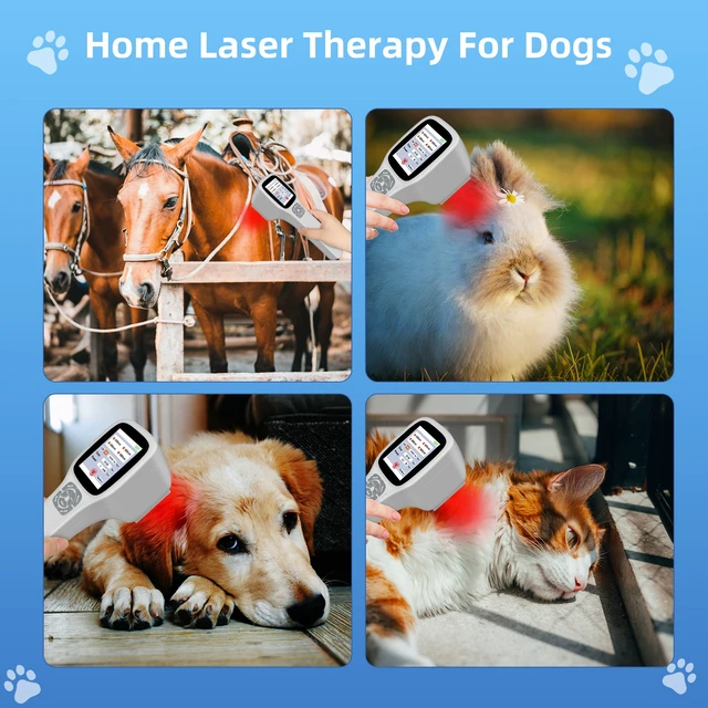Alt view image 5 of 7 - ZJKC 2500mW Cold Laser Therapy Device for Pain Relief, Red Light Laser Therapy for Pain, 4 Wavelengths 650nm 808nm 905nm 980nm, 25 Diodes, Handheld Laser Physiotherapy Machine, Rechargeable