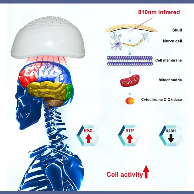 Alt view image 6 of 7 - ZJKC Near Infrared Light Therapy Helmet 810nm, 280 LED Photobiomodulation Device, 15W Output, Adjustable Pulse Modes, 1-60 Min Timer, Rechargeable Hands-Free Design for Home Use