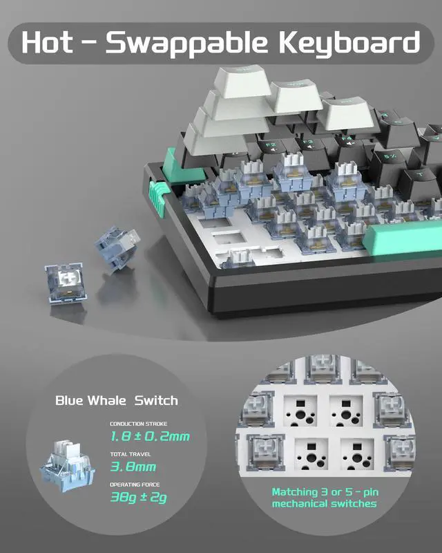 Alt view image 4 of 7 - MageGee SKY81 75% Mechanical Gaming Keyboard, Gasket Hot Swappable Wired Custom Creamy Keyboard with 5-Layer Sound Dampening, Knob Control, RGB Backlit, NKRO for Win/Mac (Dark Elf, Blue Whale Switch)