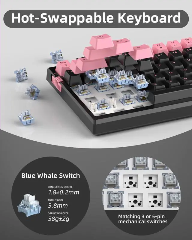 Alt view image 5 of 7 - MageGee SKY81 75% Wireless Gasket Mechanical Gaming Keyboard, Hot Swappable RGB Custom Creamy Keyboard w/ 5-Layer Padding, BT/2.4G/USB-C, Knob Control, NKRO for Win/Mac (Pink&Black, Blue Whale Switch)