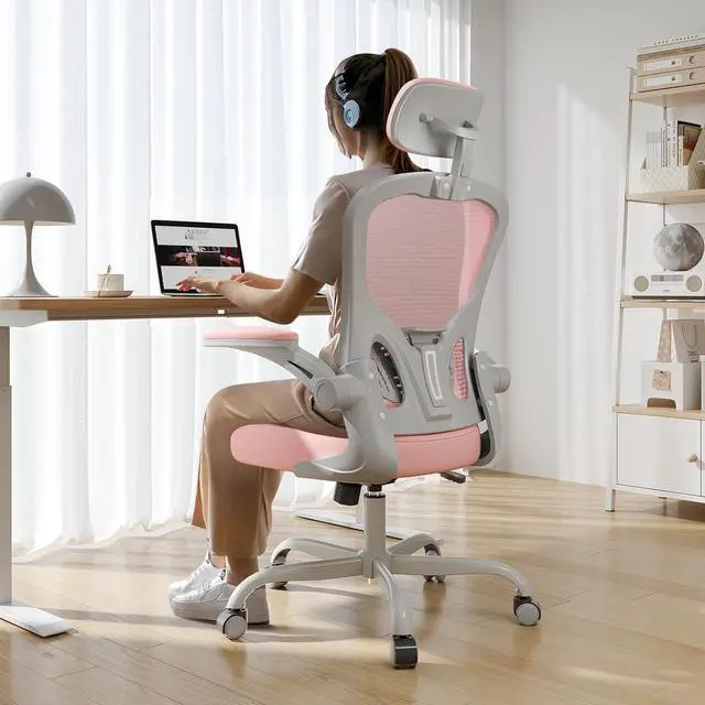 Main image of Office Chair Ergonomic Desk Chair, 330LBS Capacity, High Back Computer Chair for Long Hours Comfortable, Rolling Swivel Executive Task Chair for Home Office with Flip-up Armrests(Grey Pink)