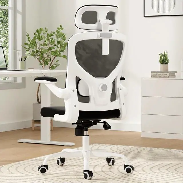 Main image of Soohow Ergonomic Office Chair, Office Mesh Desk Chair with Adjustable Lumbar Support Armrests, Comfy Computer Desk Chair with Headrest, for Home and Office, White & Black