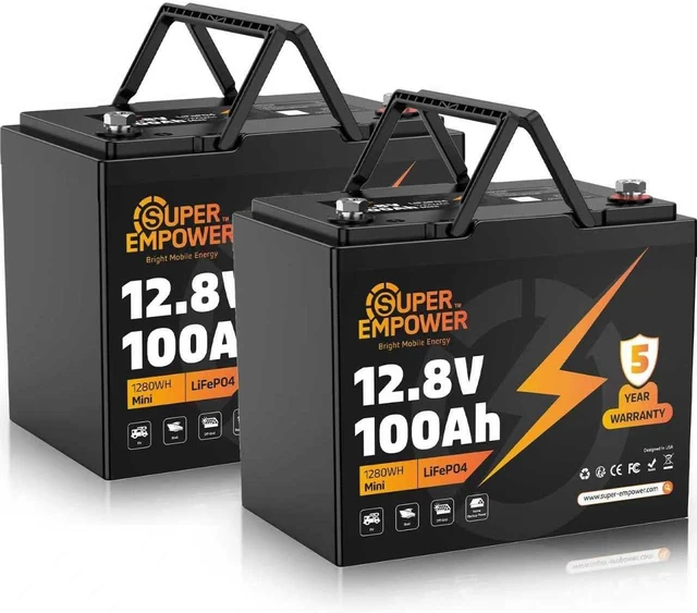 Main image of 12V 100Ah LiFePO4 Battery, Group 24 Deep Cycle for RV/Boat (2 PACK)