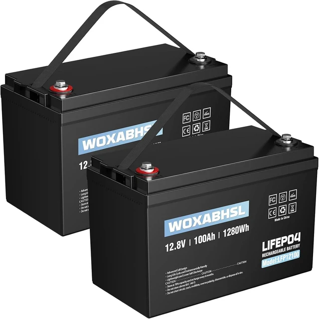 Main image of 12V 100Ah Lithium LiFePO4 Deep Cycle Battery, 4000+ Cycles Lithium Iron Phosphate for Solar, RV, Marine, Home Energy Storage, Off-Grid Applications Built-in 100A BMS2pcs