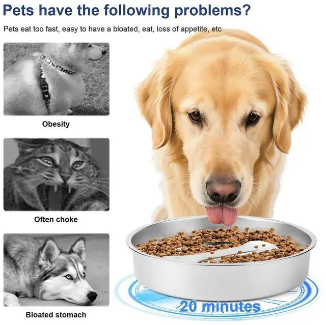 Alt view image 3 of 7 - 304 Stainless Steel Pet Dog Slow Feeder Bowl with Non-Slip Mat Dog Wat Dog Water Bowl Pet Bowl for Small & Medium Dogs