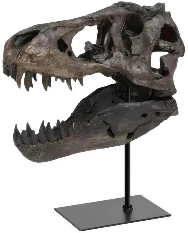 Alt view image 5 of 8 - Tyrannosaurus Rex Fossil Figurine Resin Skull Statue with Bracket Skull Sculptures Home Office Decorations