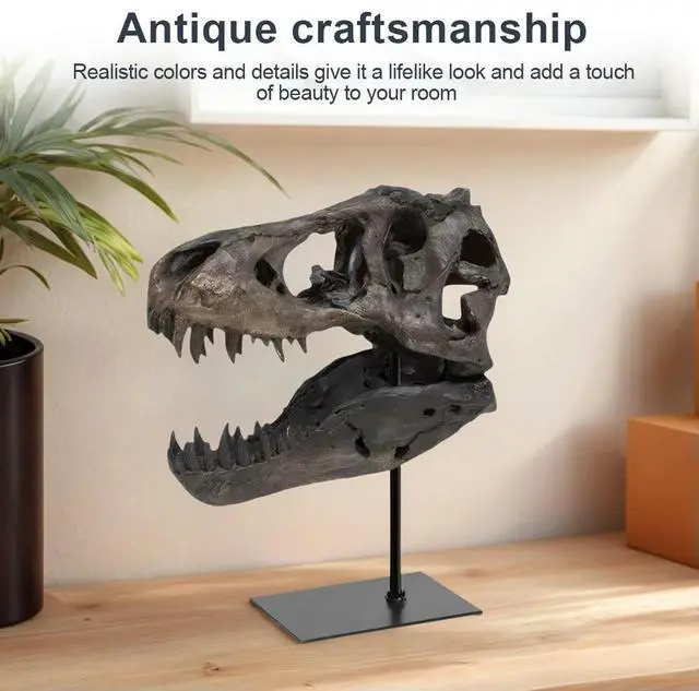 Alt view image 8 of 8 - Tyrannosaurus Rex Fossil Figurine Resin Skull Statue with Bracket Skull Sculptures Home Office Decorations