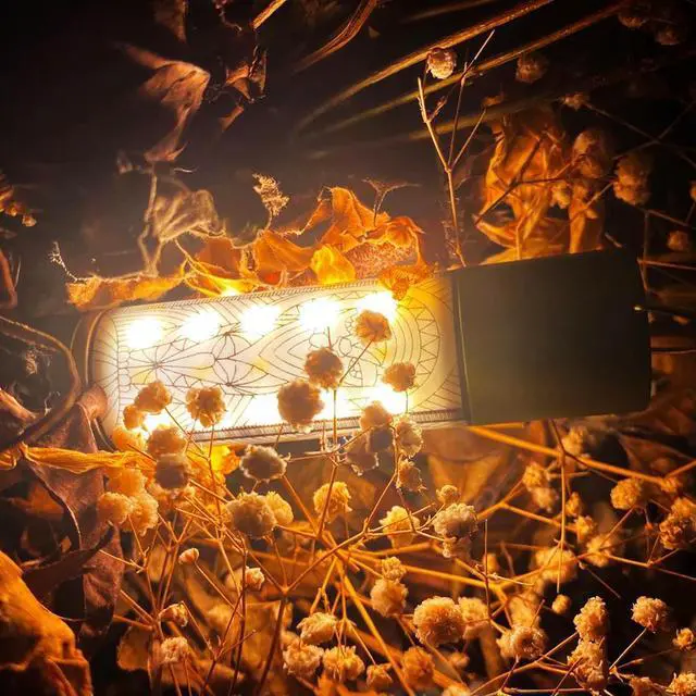 Alt view image 4 of 4 - 5 Pcs Outdoor Lamp Decal Decorative Sticker Atmosphere Lamp Sticker for Portable Camping Lantern Flashlight Decor