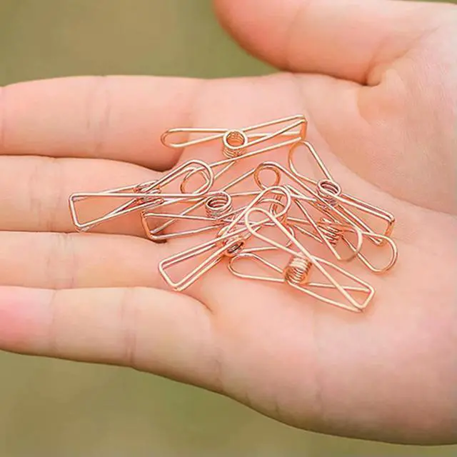 Alt view image 6 of 7 - 10pcs Lightweight Sealing Clip Clothes Pins Pegs Holders Reusable Portable Clothing Clamps Outdoor Light String Fixing Tool