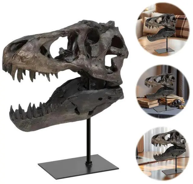 Alt view image 3 of 8 - Tyrannosaurus Rex Fossil Figurine Resin Skull Statue with Bracket Skull Sculptures Home Office Decorations