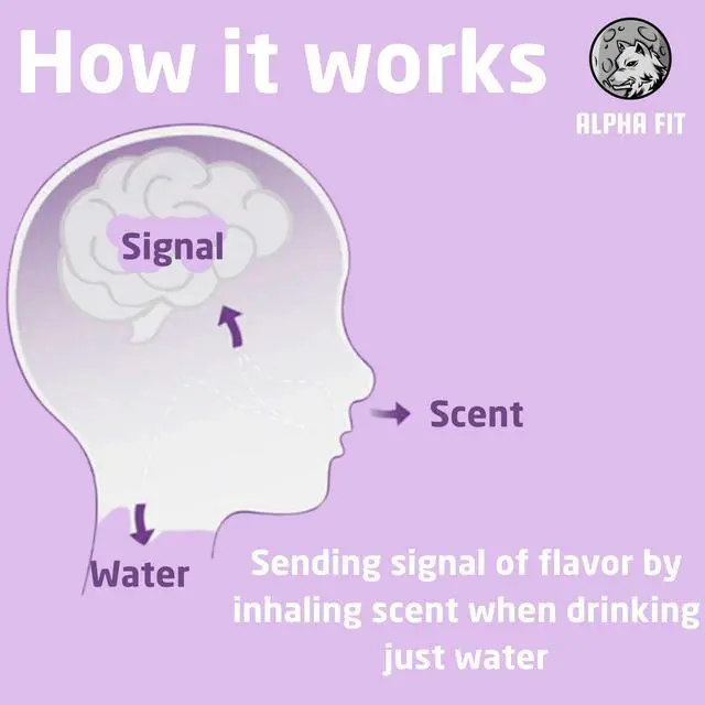 Alt view image 5 of 7 - Alpha Fit Stainless Steel Insulated Water Bottle - 750ml/25oz, 12-Hour Hot/Cold Retention, Air Up Compatible with 5 Flavor Pods & Portable Case, BPA-Free & Leak-Proof Bright Lavender