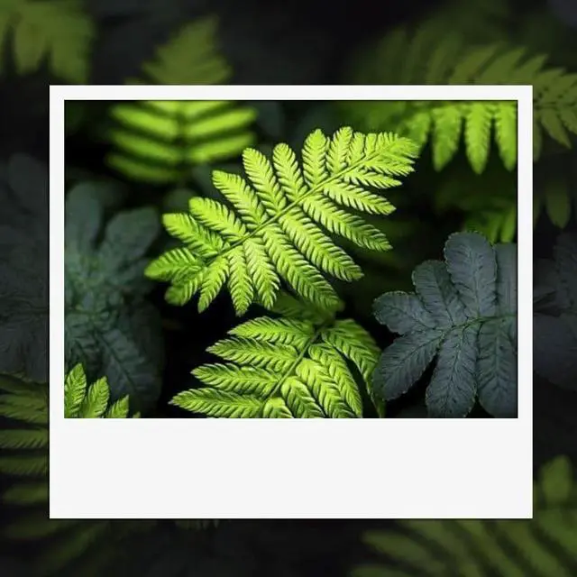 Alt view image 7 of 7 - 952XL Ink Cartridges Compatible Black 2 Pack for HP 952 XL Printer OfficeJet Pro 7740 HP952 HP952XL for 8720 8710 8715 8740 8730 8210 8725 8702 7720 8216 8700 8200 8716 8728 8743 8717 8735 8745 8714