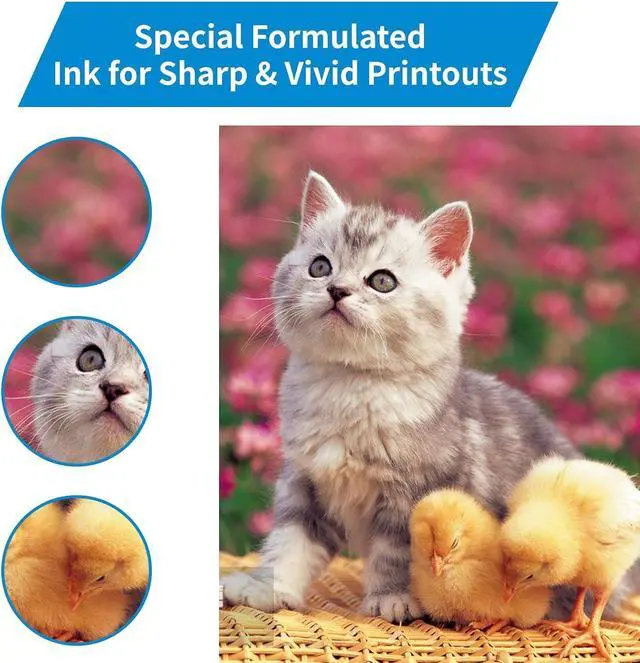 Alt view image 6 of 7 - Remanufactured T096 96 Ink Cartridges Compatible with epson T0961 T0962 T0963 T0964 T0965 T0966 T0967 T0968 T0969 Ink for Stylus Photo R2880 Inkjet Printer Ink (T096-9 Pack)