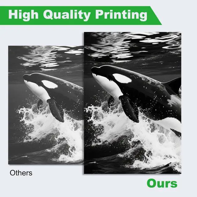 Alt view image 4 of 7 - B231000 Remanufactured Black High Yield Toner Cartridge Compatible for B231000 B241H00 Toner Cartridge for Lexmark B2338 B2442 B2546 B2650 MB2338 MB2442 MB2546 MB2650 Laser Printer (2 Pack) with Chip