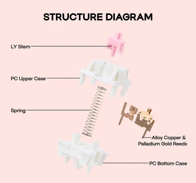Alt view image 5 of 7 - Roseveil Silent Keyboard Switch for Mechanical Gaming Keyboard, 30PCS, 5-pin, 32gf, Pre-Lubed, Linear Silent, PC Case, LY Stem, Compatible with MX Keycaps (Roseveil Silent)