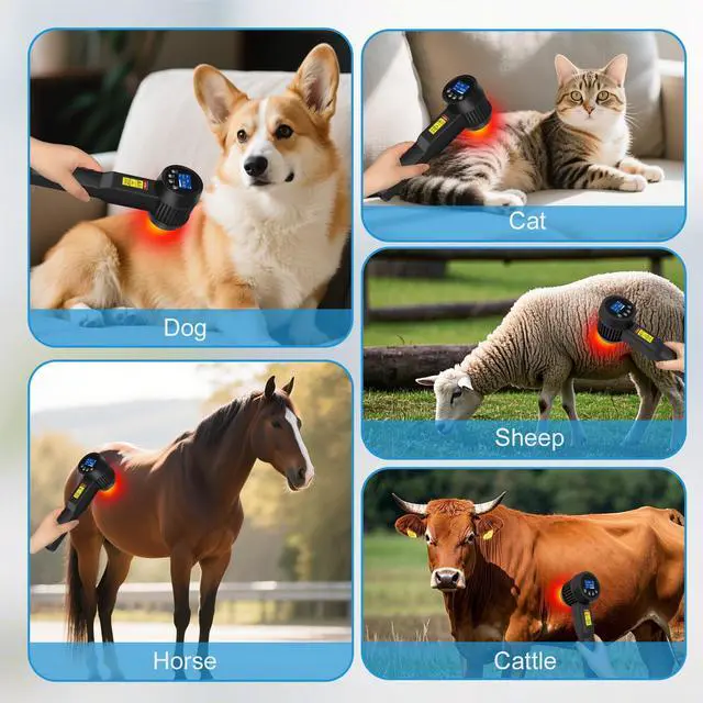 Alt view image 5 of 7 - Toponechoice 8W Laser Device 650nm*10+808nm*15 Class Handheld Laser At Home Use for Deep Pain