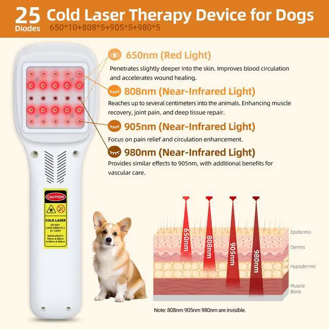 Alt view image 5 of 7 - Toponechoice level 4 laser therapy for achilles tendonitis treatment,lllt laser behandling for sore heel treatment