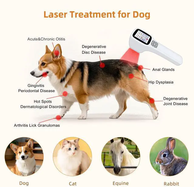 Alt view image 4 of 7 - Toponechoice level 4 laser therapy for achilles tendonitis treatment,lllt laser behandling for sore heel treatment