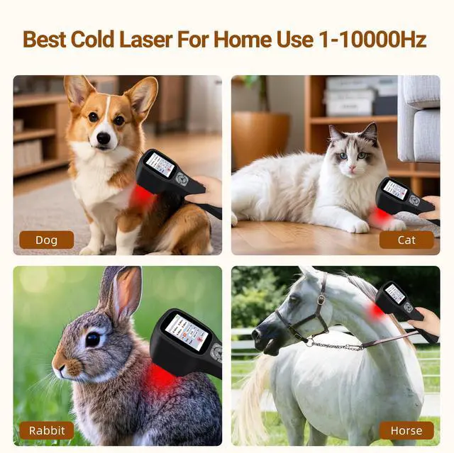 Alt view image 2 of 7 - Toponechoice mls low level laser therapy wound near me, treatment for heel spurs, metatarsalgia, leg cramps at night