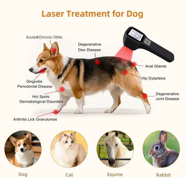 Alt view image 4 of 7 - Toponechoice best hand held  low level laser therapy for back pain, plantar fasciitis, neuropathy, suitable for pets