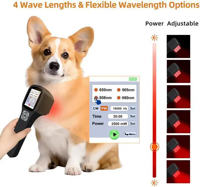Alt view image 6 of 7 - Toponechoice best hand held  low level laser therapy for back pain, plantar fasciitis, neuropathy, suitable for pets