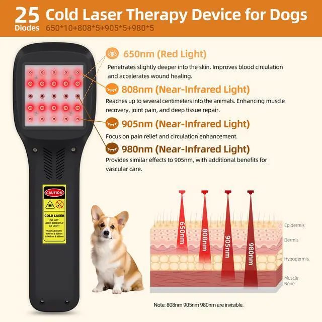 Alt view image 5 of 7 - Toponechoice best hand held  low level laser therapy for back pain, plantar fasciitis, neuropathy, suitable for pets