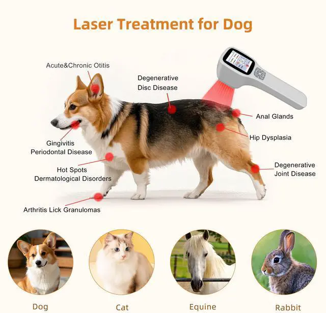 Alt view image 4 of 7 - Toponechoice dog cold laser therapy class 3, laser device for injured muscles,knee arthritis,neck pain