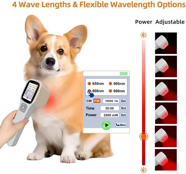 Alt view image 6 of 7 - Toponechoice dog cold laser therapy class 3, laser device for injured muscles,knee arthritis,neck pain