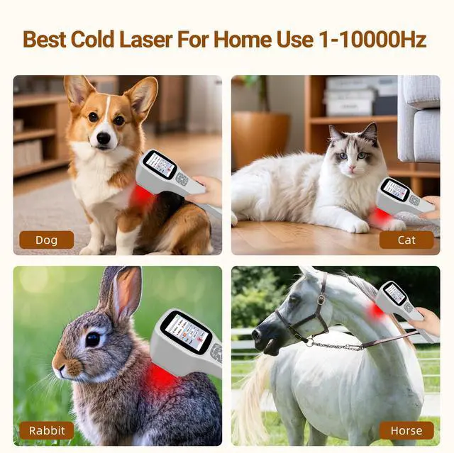 Alt view image 2 of 7 - Toponechoice dog cold laser therapy class 3, laser device for injured muscles,knee arthritis,neck pain