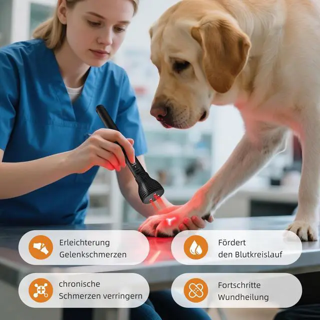 Alt view image 3 of 7 - Toponechoice pbm veterinary treatment laser therapy certification for osteomyelitis,pain management