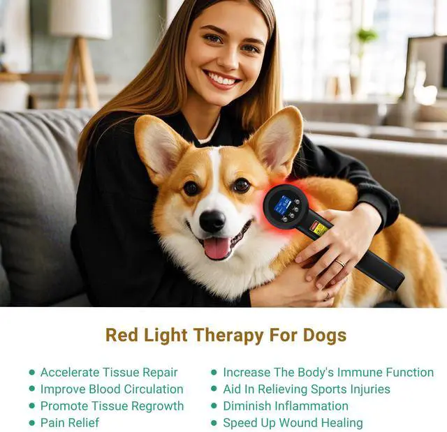 Alt view image 3 of 7 - Toponechoice 3b cold laser cold laser treatment for peripheral neuropathy knee pain tension headache near me