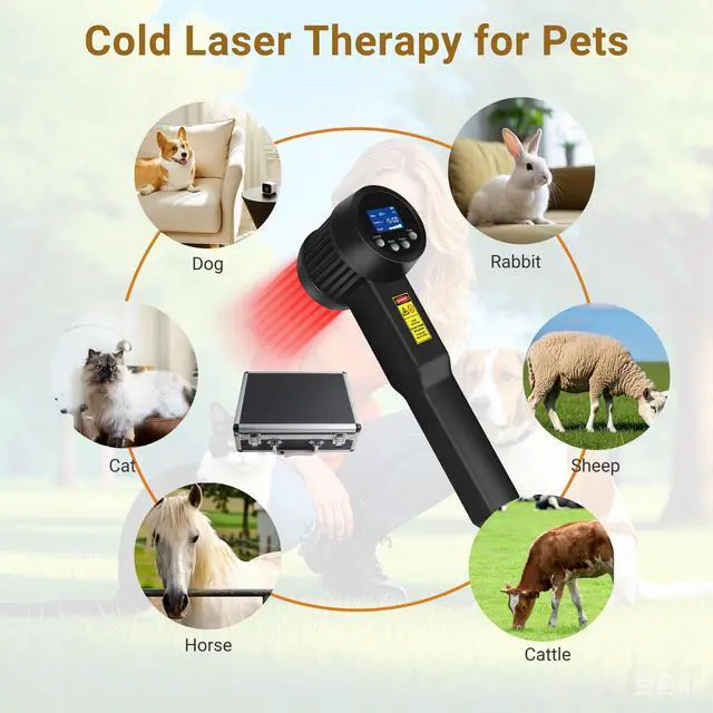 Alt view image 3 of 7 - Toponechoice cold laser men/pet light therapy device for sore heel treatment best hand held laser for therapy for dogs