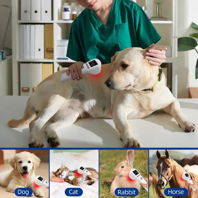 Alt view image 4 of 7 - Toponechoice low level laser therapy 3b cold laser for back pain nerve damage osteomyelitis home remedy for stiff neck and shoulder