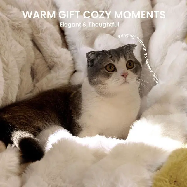 Alt view image 7 of 7 - Electric Heated Blanket for Girls & Women, Soft & Luxurious, Faux Rabbit Fur Heating Throw Blankets, 6 Heat Settings, Overheat Protection, Quick Heating, Memory Function, Gift-Ready Design, 50"x60"