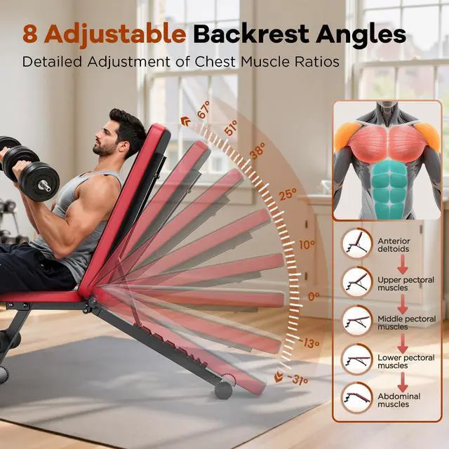 Alt view image 2 of 7 - Basic Weight Bench for Home Gym, 8 Backrests Adjustable Bench with 660LBS Weight Capacity for Chest Shoulders Arms Muscles, Foldable and Compact for Small Space Apartment Room