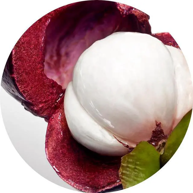 Alt view image 6 of 7 - Davidoff Cool Water Eau de Toilette -100ml/3.4oz Fresh Floral Women's Perfume With Notes of Watermelon, Lily of the Valley & Musk Long Lasting Fragrance.