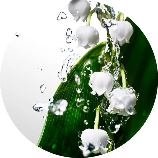 Alt view image 7 of 7 - Davidoff Cool Water Eau de Toilette -100ml/3.4oz Fresh Floral Women's Perfume With Notes of Watermelon, Lily of the Valley & Musk Long Lasting Fragrance.