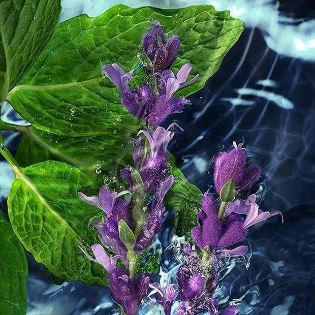 Alt view image 4 of 5 - Davidoff Cool Water Eau de Toilette -125ml/4.2oz Aromatic Men's Cologne With Notes of Coriander, Mint, Lavender & Amber Long Lasting Fragrance