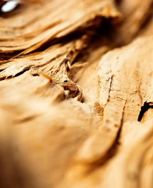 Alt view image 5 of 5 - Davidoff Cool Water Eau de Toilette -125ml/4.2oz Aromatic Men's Cologne With Notes of Coriander, Mint, Lavender & Amber Long Lasting Fragrance