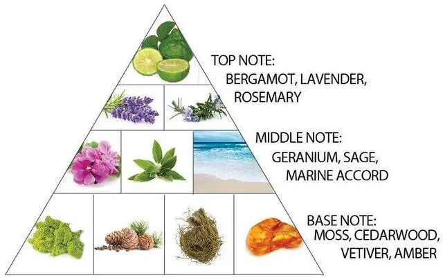 Alt view image 3 of 6 - Al Haramain Amber Oud Carbon Edition Eau De Parfum Spray 60ml/2.0 oz - Long-Lasting Mens Cologne, Woody Aromatic Arabian Perfume with Premium Arabic Fragrance for Men