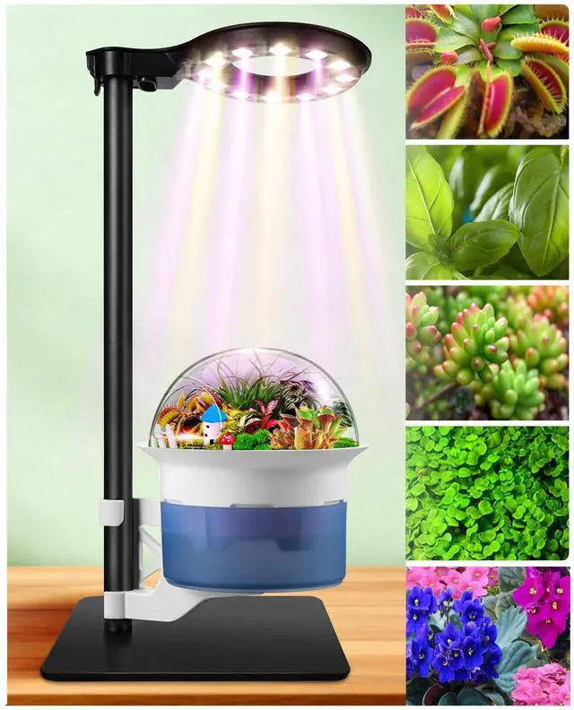 Main image of Smart Venus Fly Trap Terrarium Kit with Grow Light Timer & Metal Stand, African Violet Pots Self Watering Planter for Cactus,Herbs,Carnivorous Plants, Christmas Birthday Gifts for Women Garden Lover