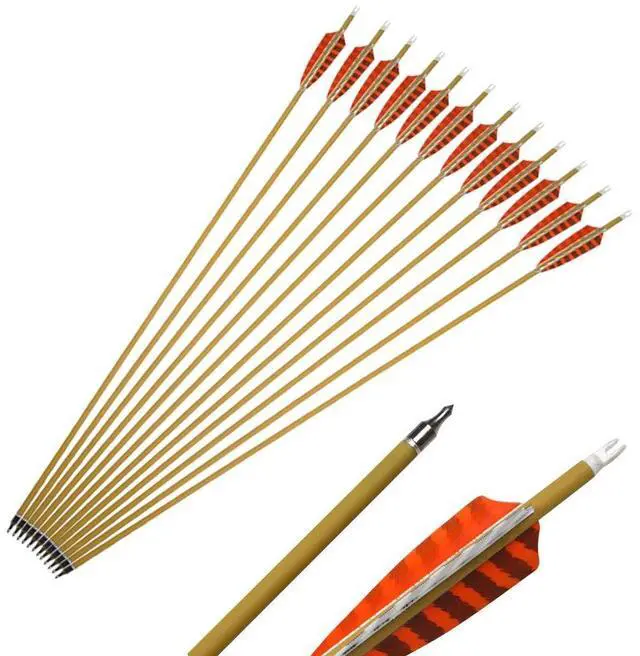 Main image of SHARROW Archery 6pcs 30inch Carbon Arrows Spine 500 Hunting Arrows Target Practice Arrows with Removable Tips for Compound Bow and Recurve Bow (Orange)