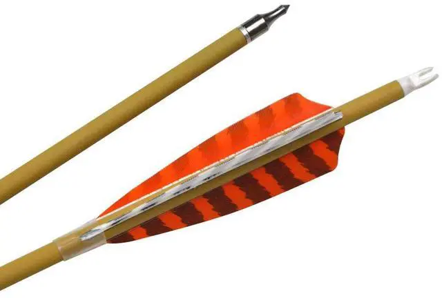 Alt view image 7 of 7 - SHARROW Archery 6pcs 30inch Carbon Arrows Spine 500 Hunting Arrows Target Practice Arrows with Removable Tips for Compound Bow and Recurve Bow (Orange)