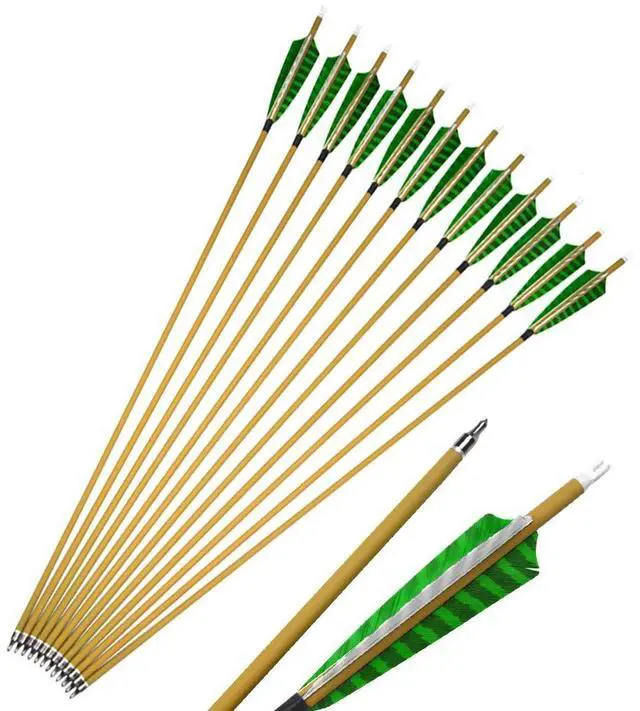Main image of SHARROW Archery 6pcs 30inch Carbon Arrows Spine 500 Hunting Arrows Target Practice Arrows with Removable Tips for Compound Bow and Recurve Bow (Green)