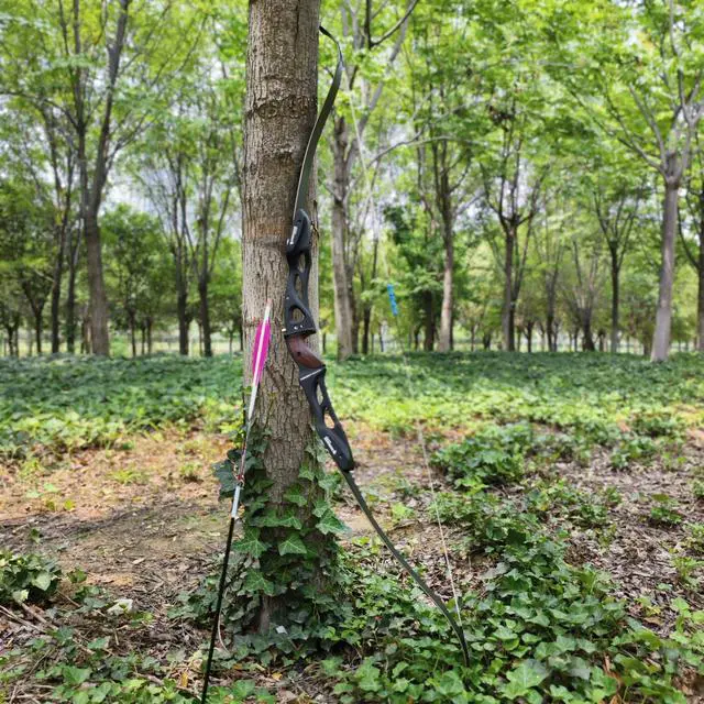 Alt view image 3 of 7 - TOPOINT ENDEAVOR R10 25" ILF Target Bow Recurve Bow 36 lbs