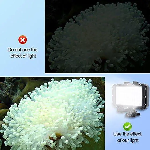Alt view image 3 of 7 - Underwater Lights Dive Light 84 LED High Power Dimmable Waterproof LED Video Light Waterproof 164ft(50m) for Gopro Canon Nikon Pentax Panasonic Sony Samsung SLR Cameras Black