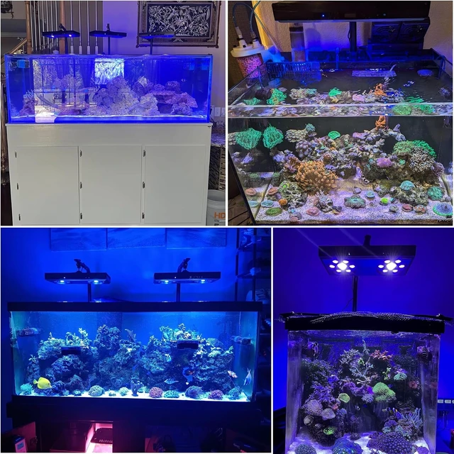 Alt view image 7 of 7 - 140W Aquarium Reef Light Wide-Coverage Sunrise/Sunset/Moonlight Saltwater Light for Coral with Master-Slave Group Control, Timer & Screen