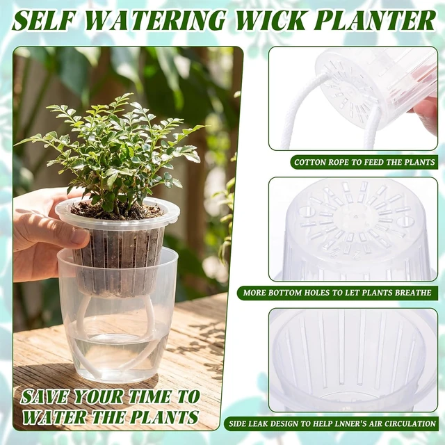 Alt view image 3 of 6 - 36 Pcs Transparent Self-Watering Plant Pots, 3.5''