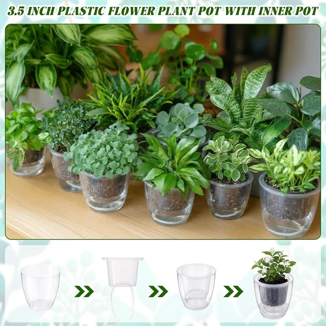 Alt view image 4 of 6 - 36 Pcs Transparent Self-Watering Plant Pots, 3.5''